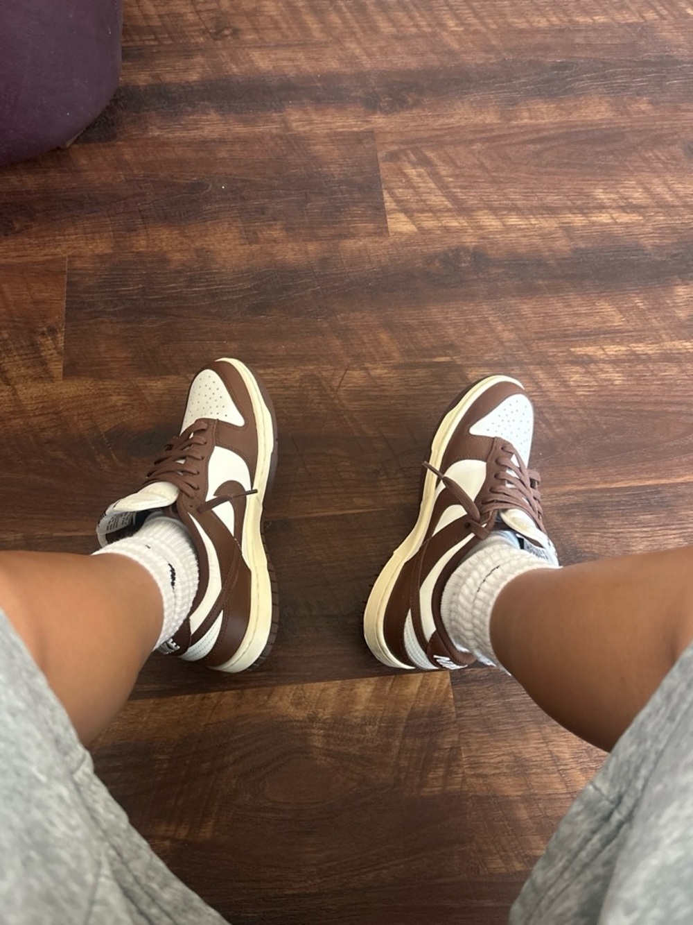 Brown Nike Dunks